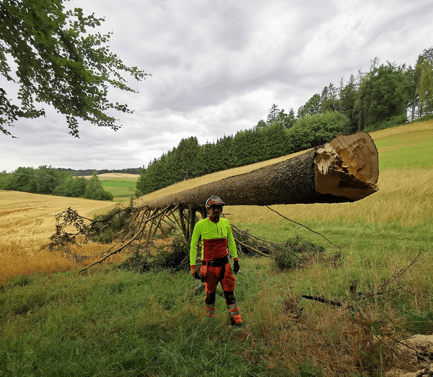 Über uns - Brennholz und Sägewerk Patzlsperger, Landkreis Landshut
